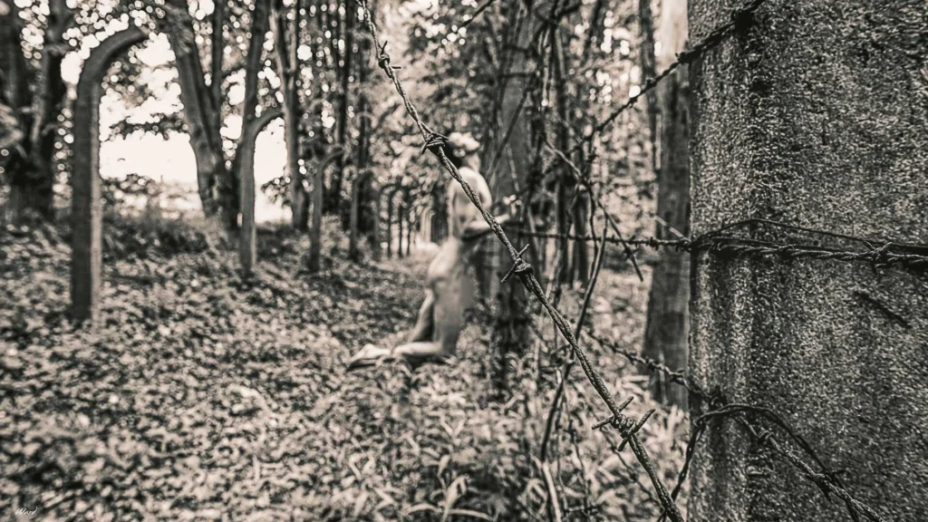 Mono Landscape Art Nudes